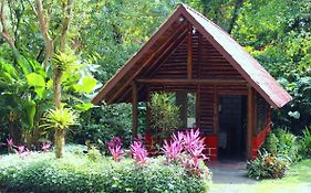 Arenal Oasis Eco Lodge&Wildlife Refuge